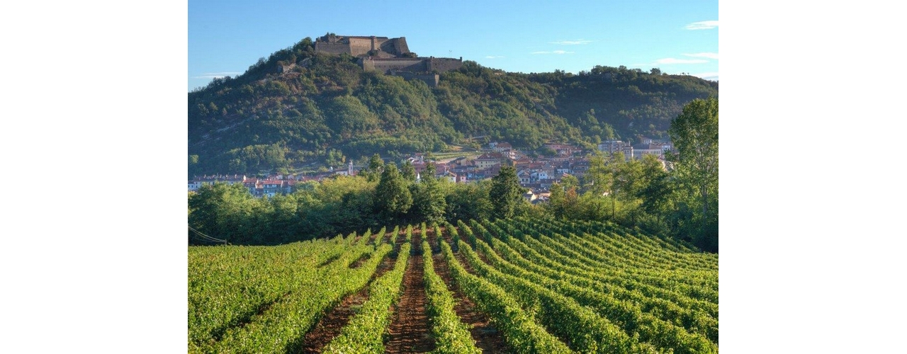 Immobiliari nel monferrato - Piedmont Houses